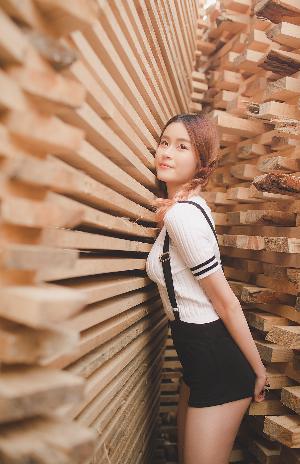 GOGOGO高清完整国语